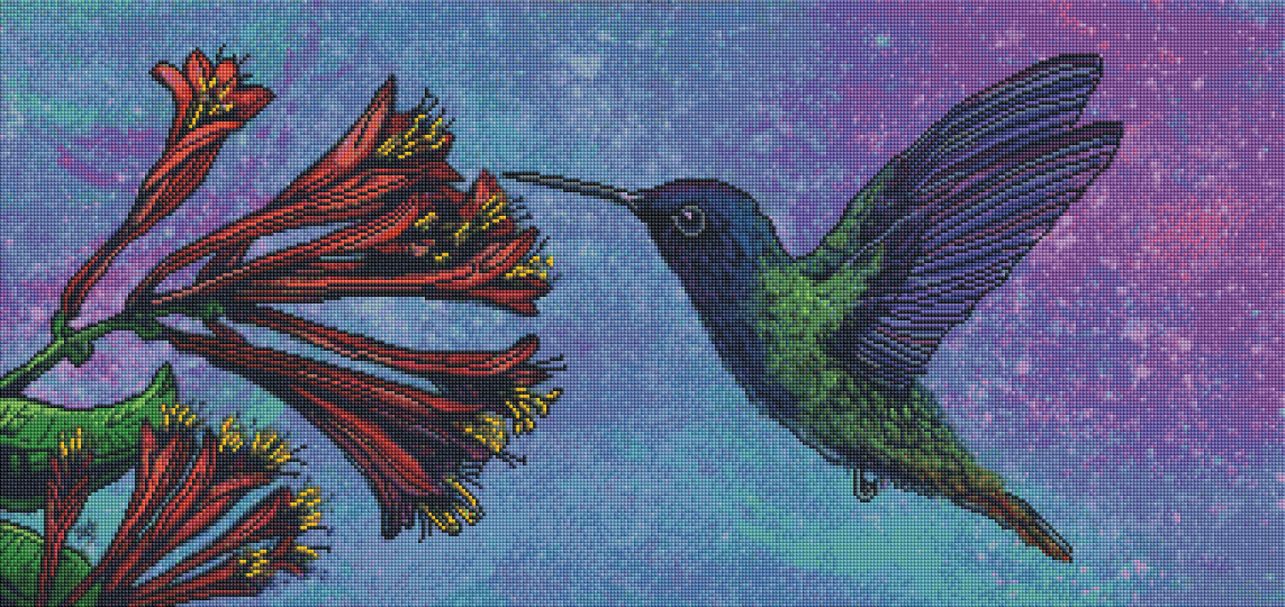 The Hummingbird