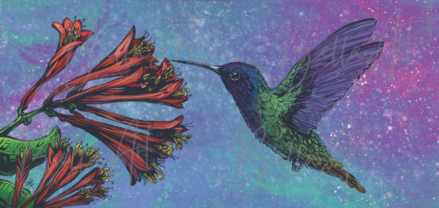 The Hummingbird